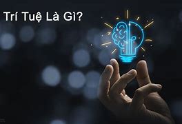 Đạo Trí Tuệ Là Gì